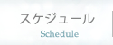 スケジュール